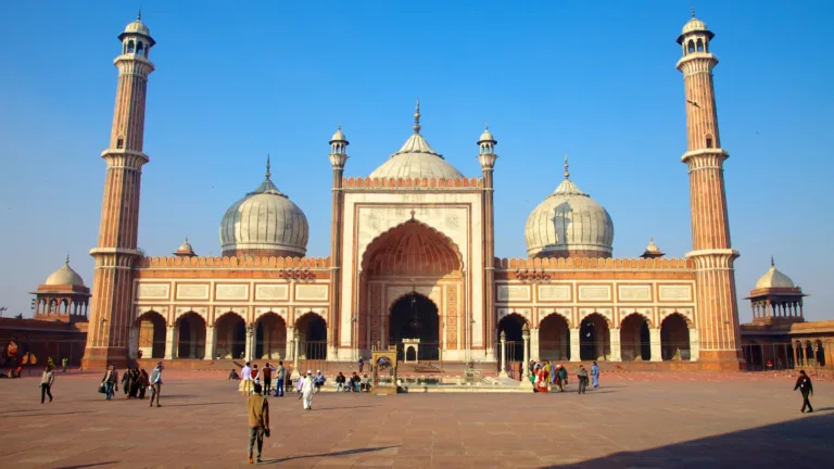 Free Walking Tour of Old Delhi