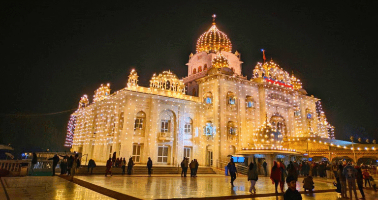 Night Walking Tour of Delhi with Tuk Tuk Ride & Snacks