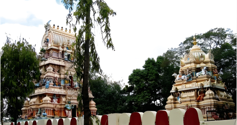 Free City Walk of Bangalore