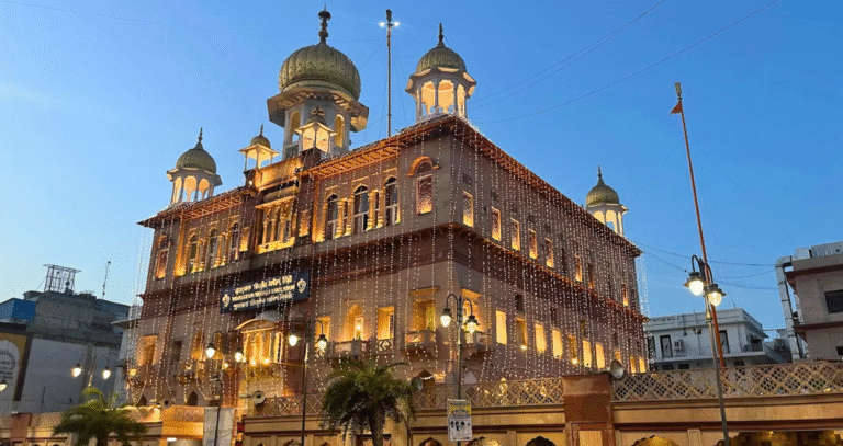 Old Delhi: Cultural Walking Tour with Local Snacks