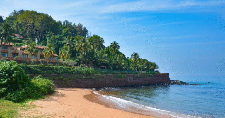 Full-Day Tour in North Goa